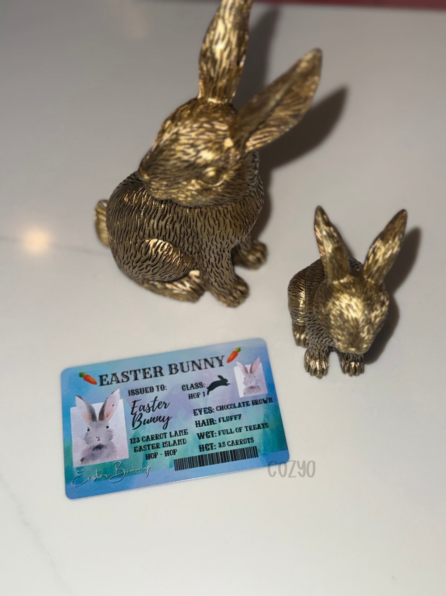 Easter Bunny License - RTS