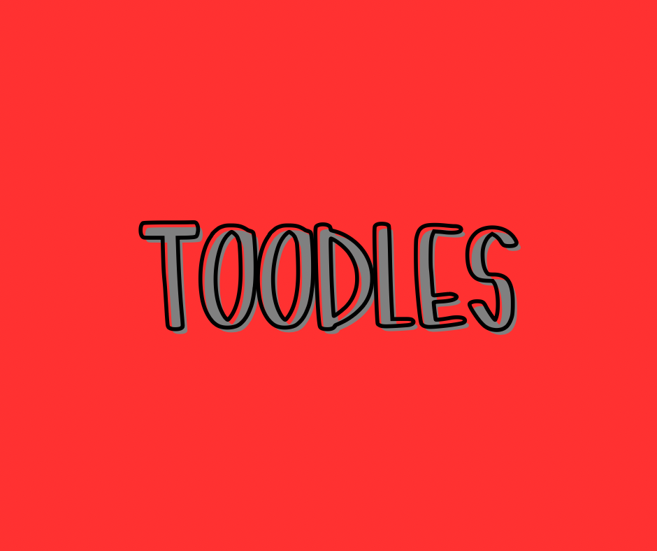 TOODLES | TINY TOYS | KIDS DAY WEAR