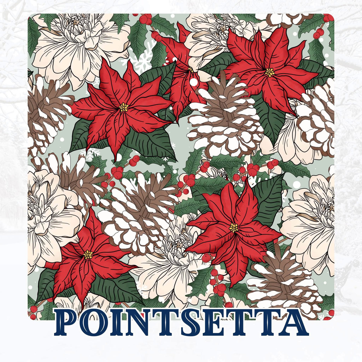 POINTSETTA | WINTER WONDERLAND