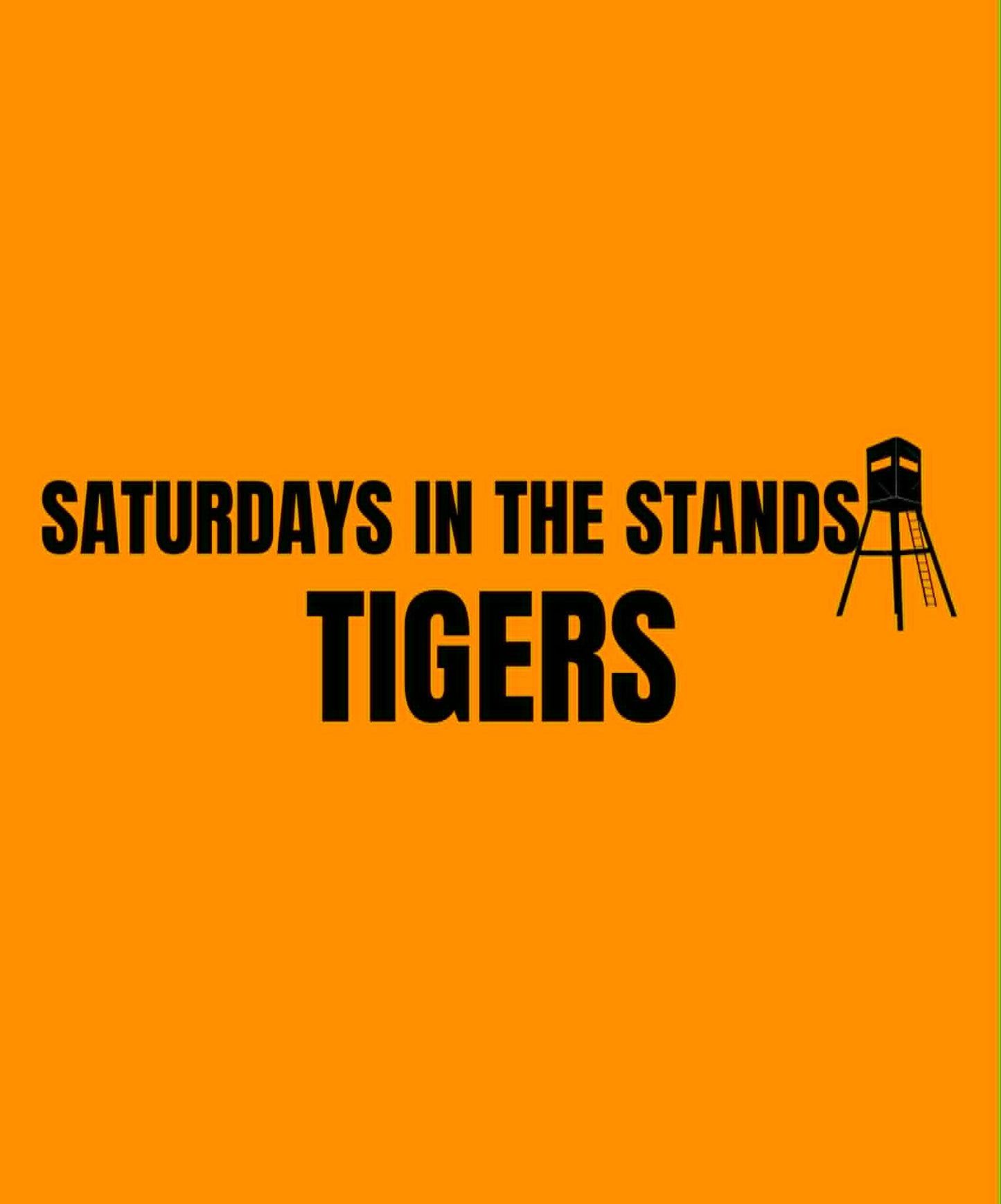 TIGERS | SATURDAY IN THE STANDS