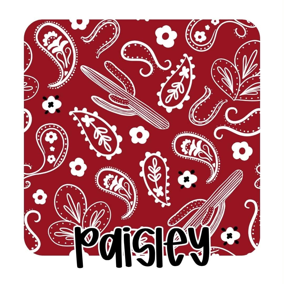 PAISLEY | READY TO RODEO RERUN