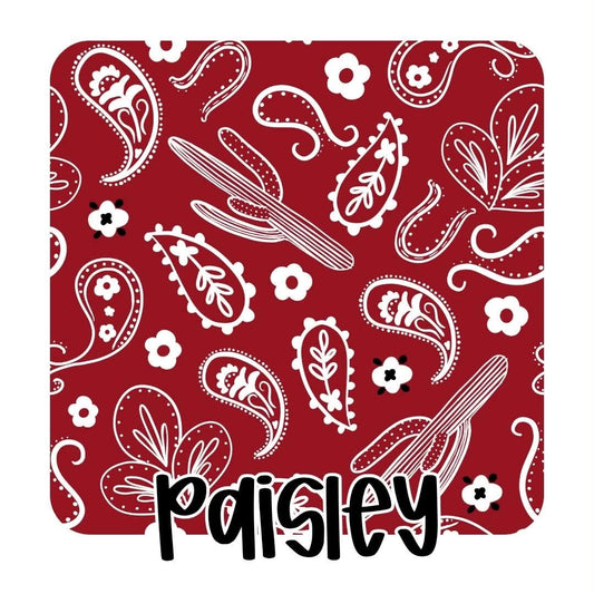 PAISLEY | READY TO RODEO RERUN