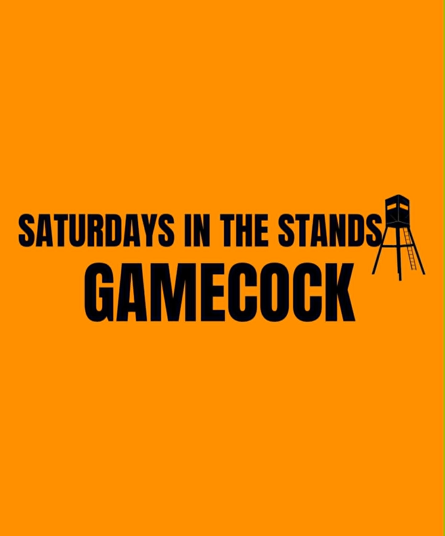 GAMECOCK | SATURDAY IN THE STANDS