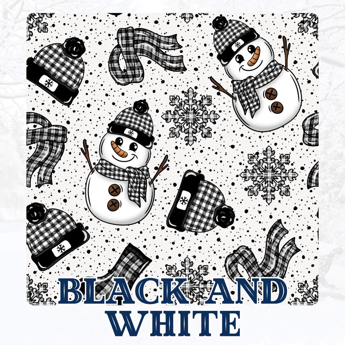 BLACK & WHITE | WINTER WONDERLAND