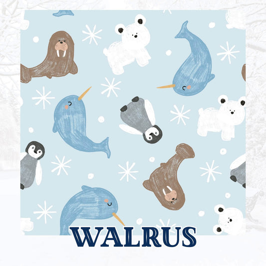 WALRUS | WINTER WONDERLAND