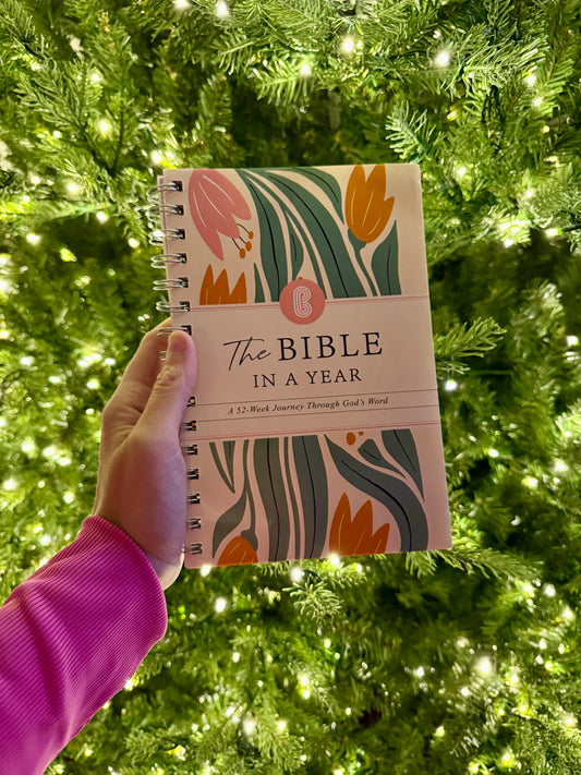 Year in the Bible