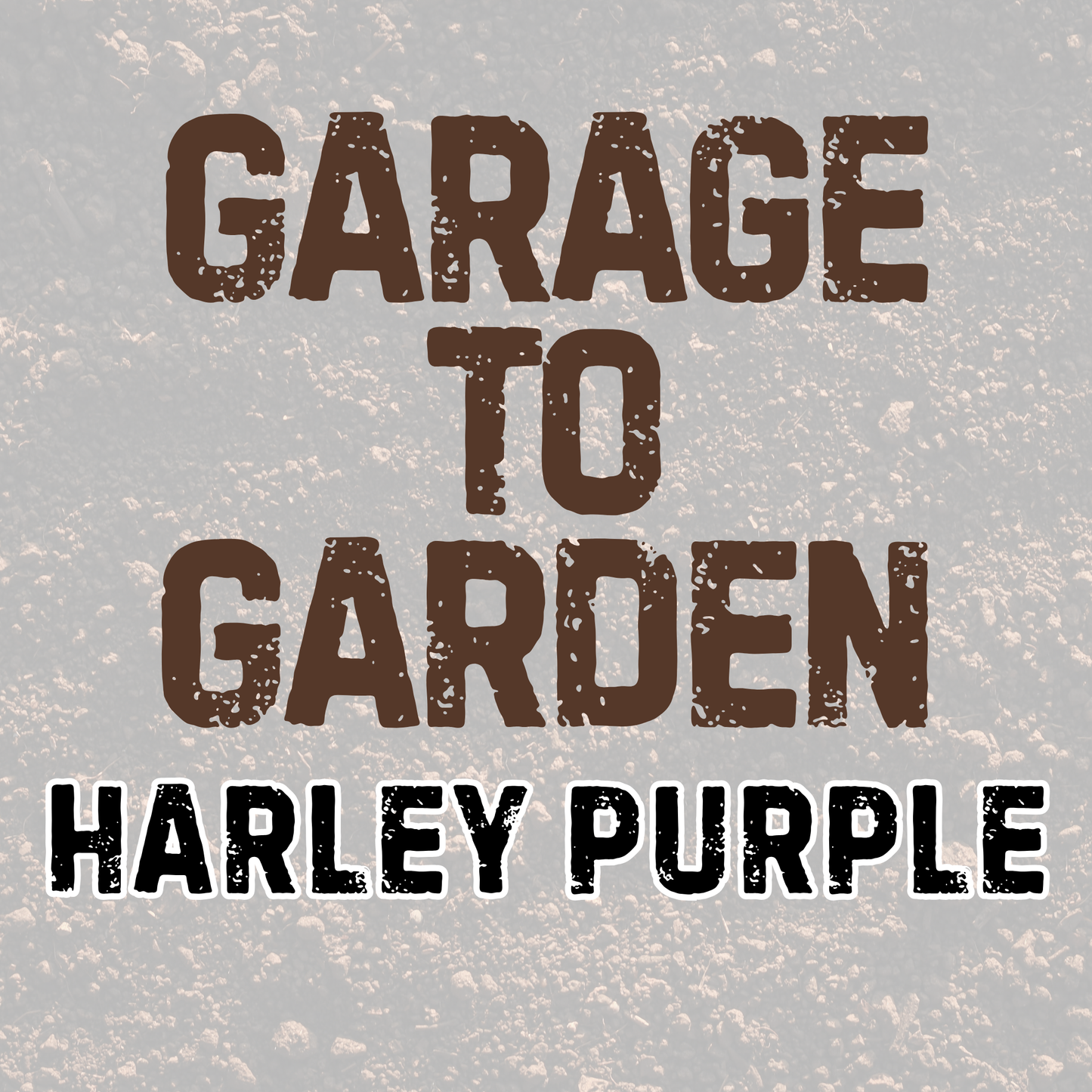HARLEY PURPLE | GARAGE TO GARDEN