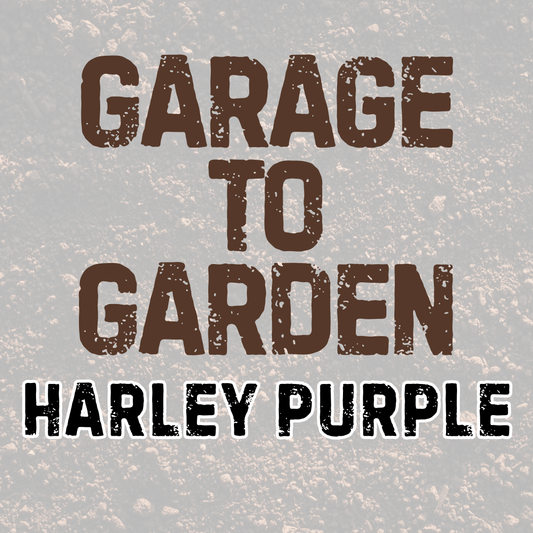HARLEY PURPLE | GARAGE TO GARDEN