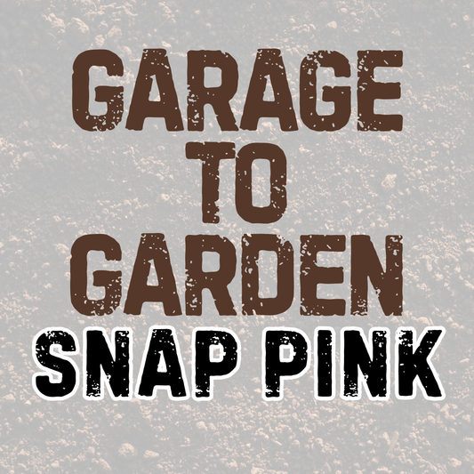 SNAP PINK | GARAGE TO GARDEN