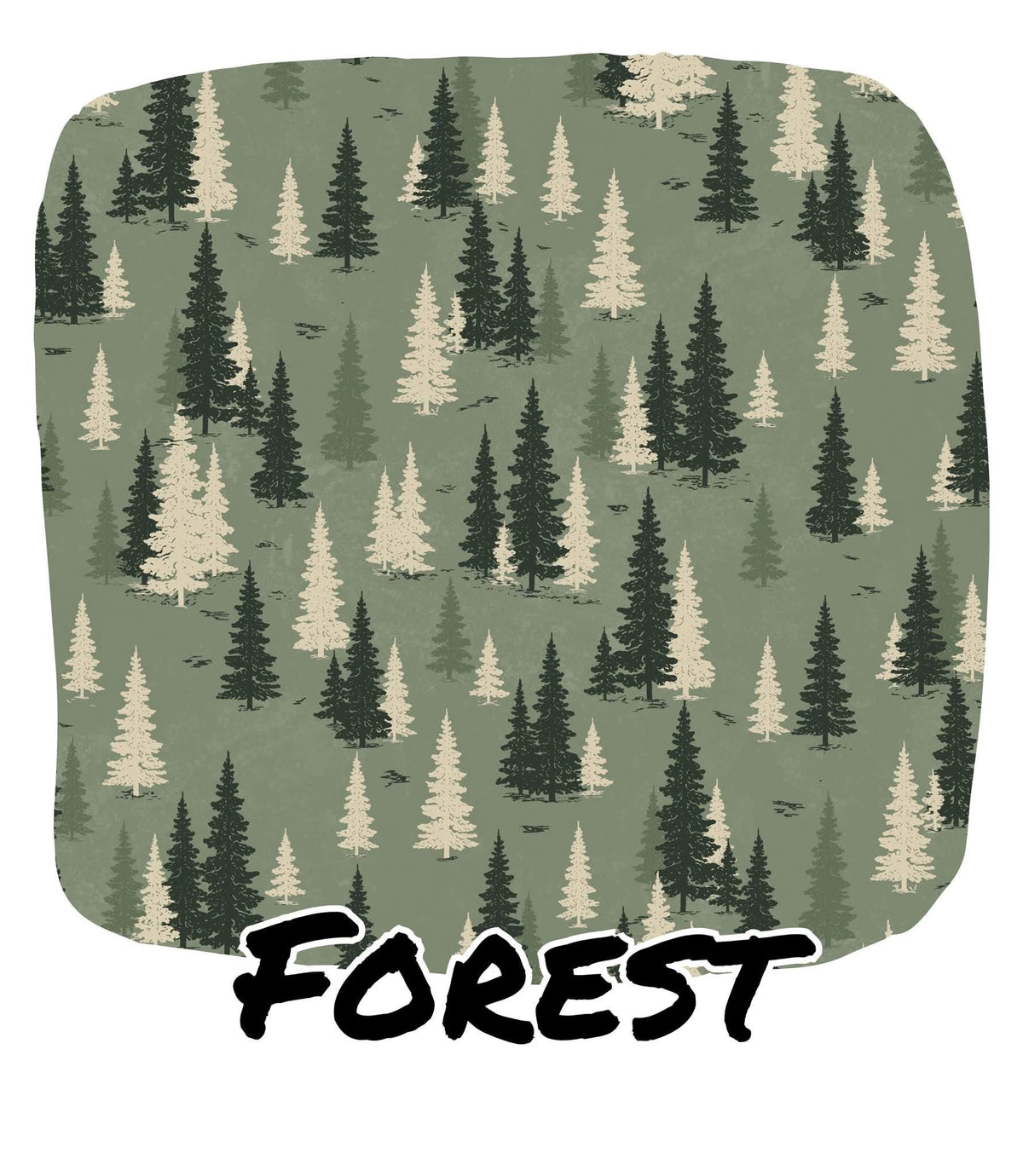 FOREST | READY TO EXPLORE